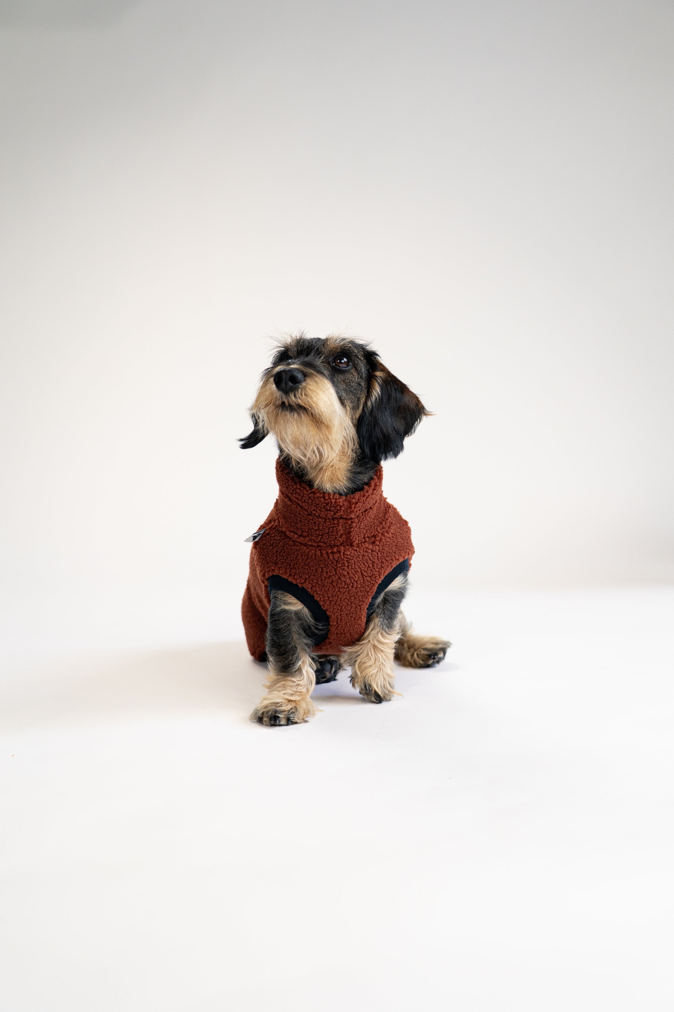 Winterkleidung für kleine Hunde – Teddy Long Shirt in Braun