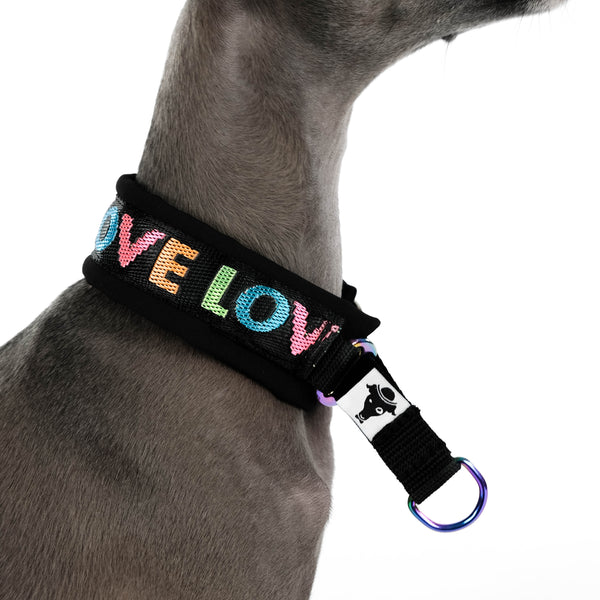 LOVE Collar Italian Greyhound