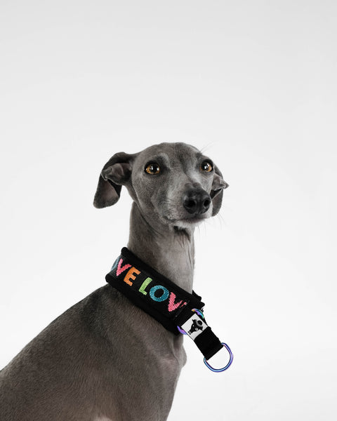 LOVE Martingale Collar Sighthound