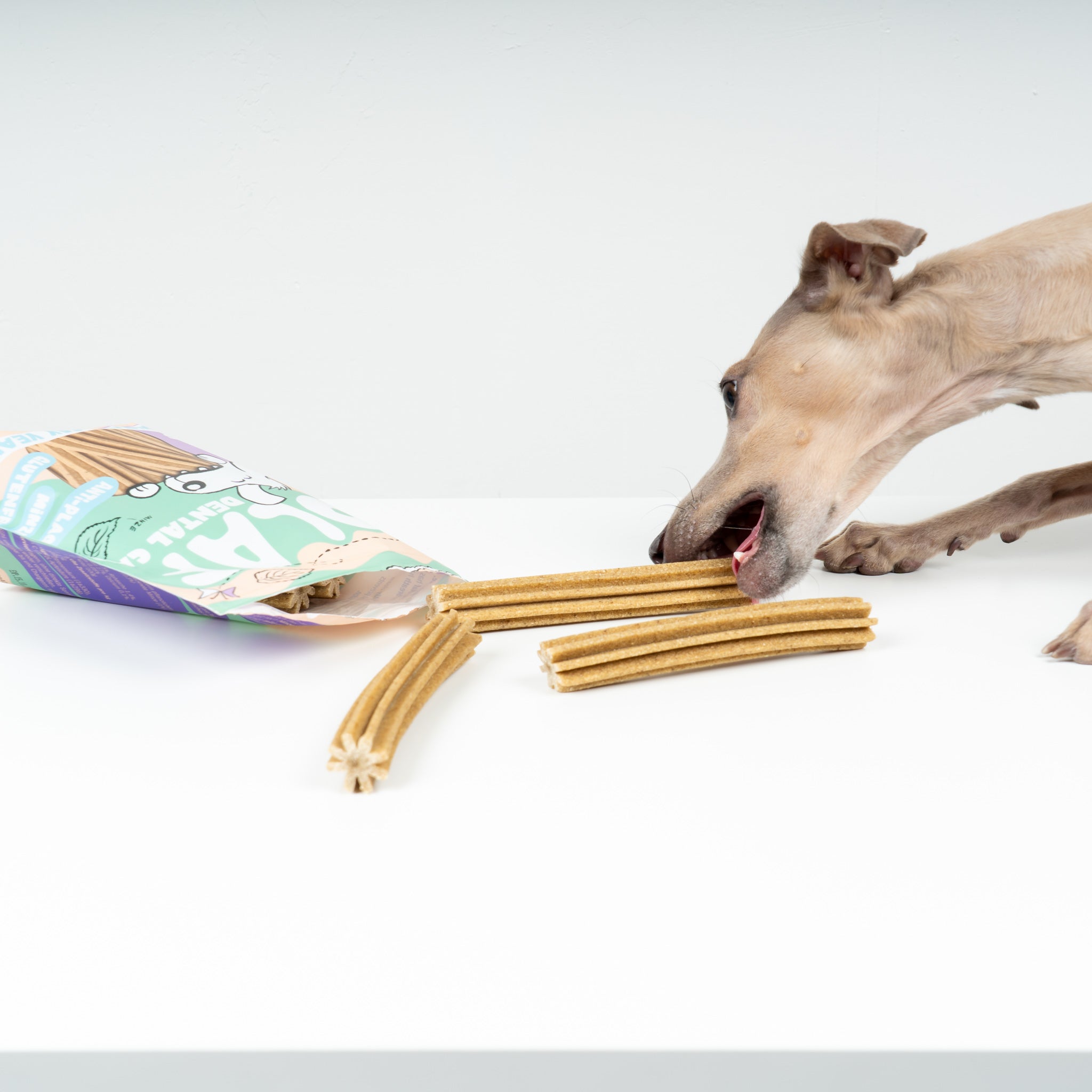 Leni Lecker's Olaf - Dental Sticks für Hunde