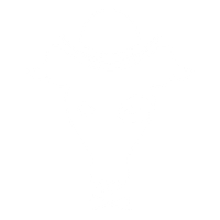 logo-banner-0