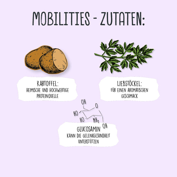 VEGDOG Mobilities