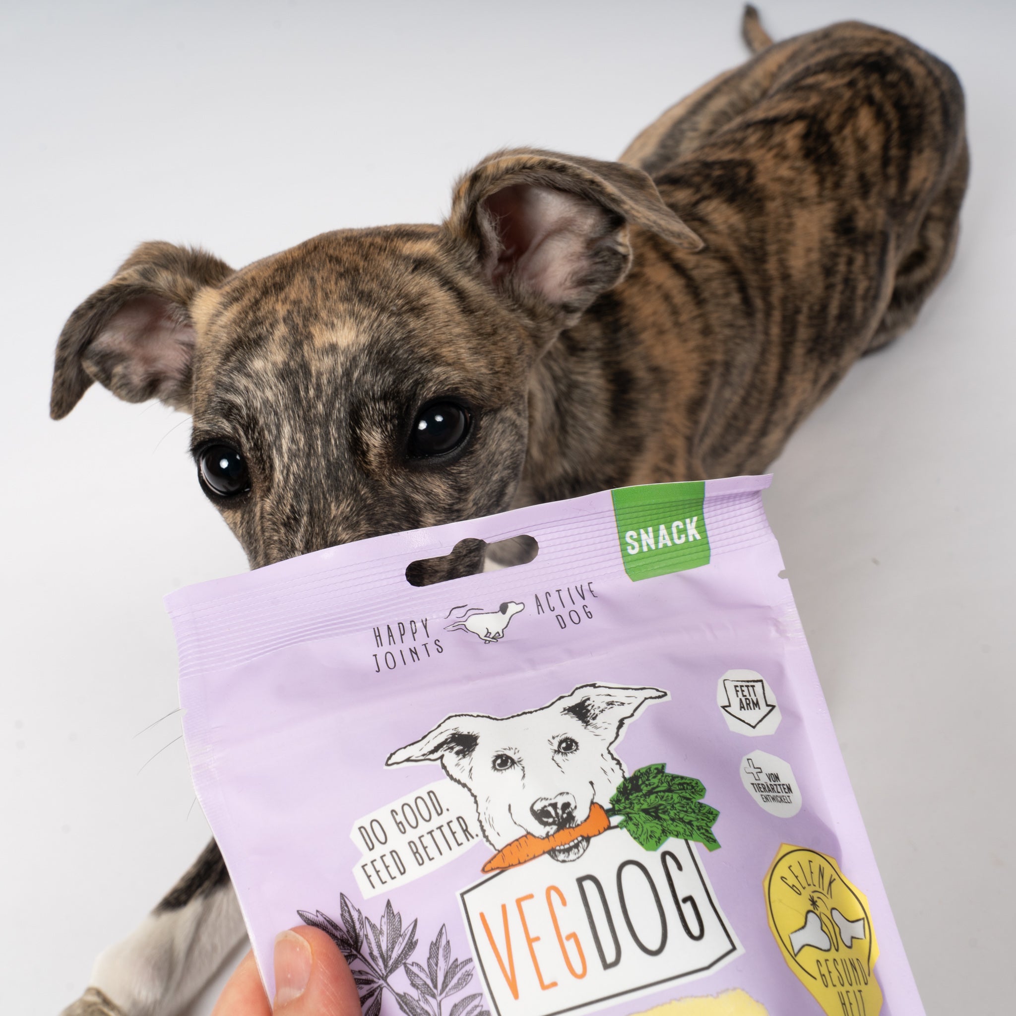 VEGDOG Mobilities Minis