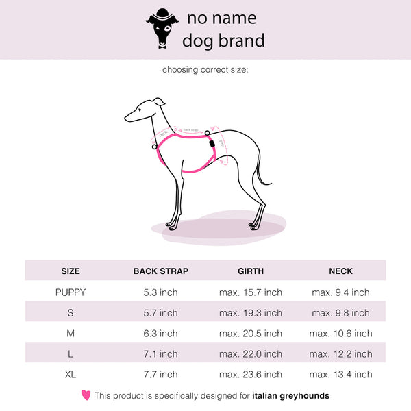 ItalianGreyhound Size Chart