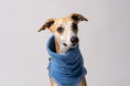 Bild in Galerie-Betrachter laden, Nahaufnahme Whippet Long Shirt Fleece in Sky Blue
