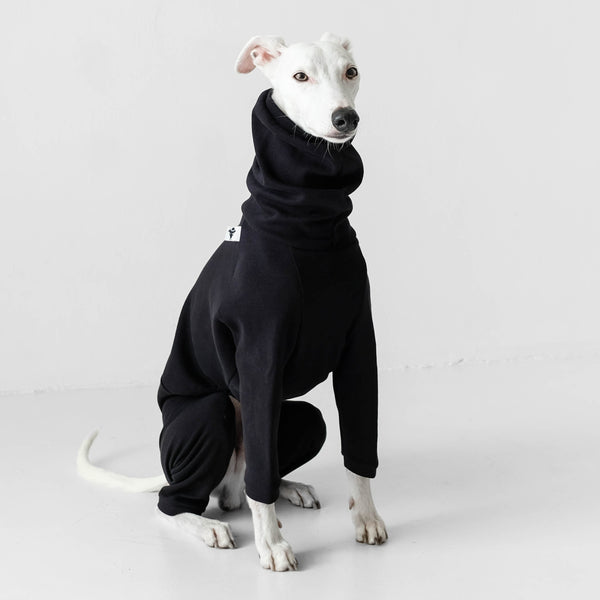 Cotton Jumper Whippet