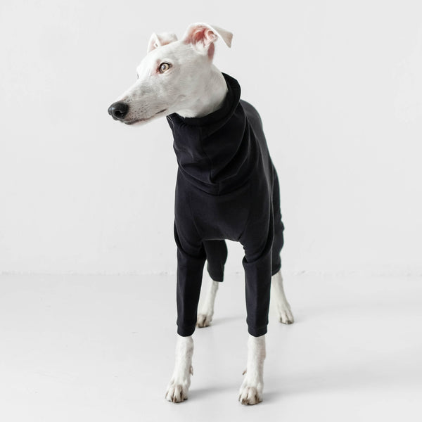 Whippet Clothing