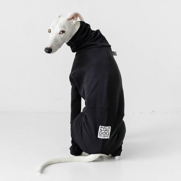 White. Whippet