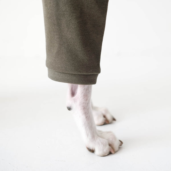 Whippet Overall