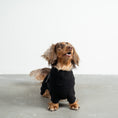 Bild in Galerie-Betrachter laden, Overall Dackel Schwarz – ergonomischer Schnitt für Dackel und Windhunde – handgefertigte Hundekleidung
