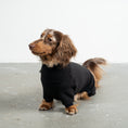 Bild in Galerie-Betrachter laden, Overall Dackel Schwarz – Close-up am Hund – hochwertige Hundekleidung von Karma Hund
