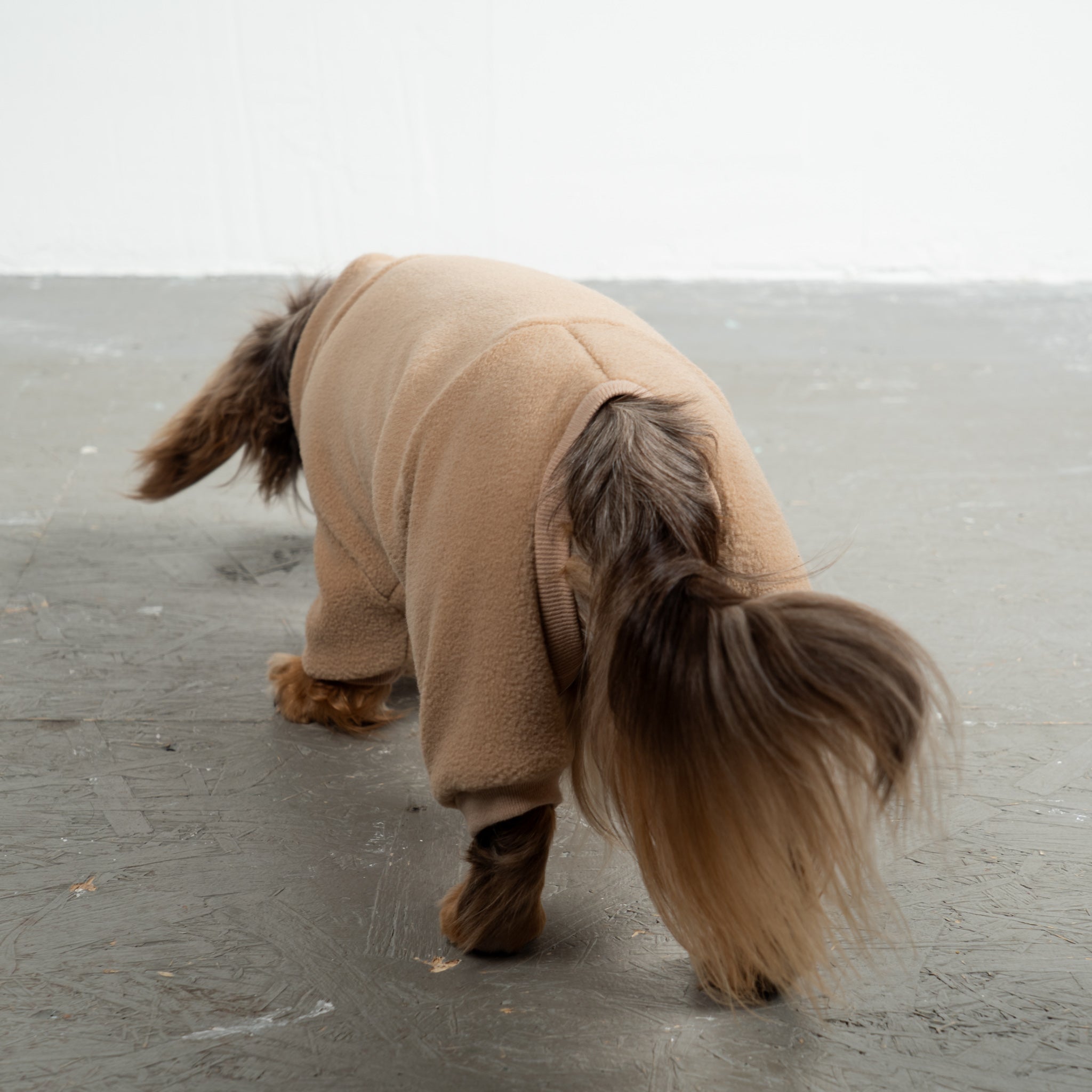 Overall Dackel Camel – Hundekleidung für Dackel, Windspiele und Whippets – Rückenansicht
