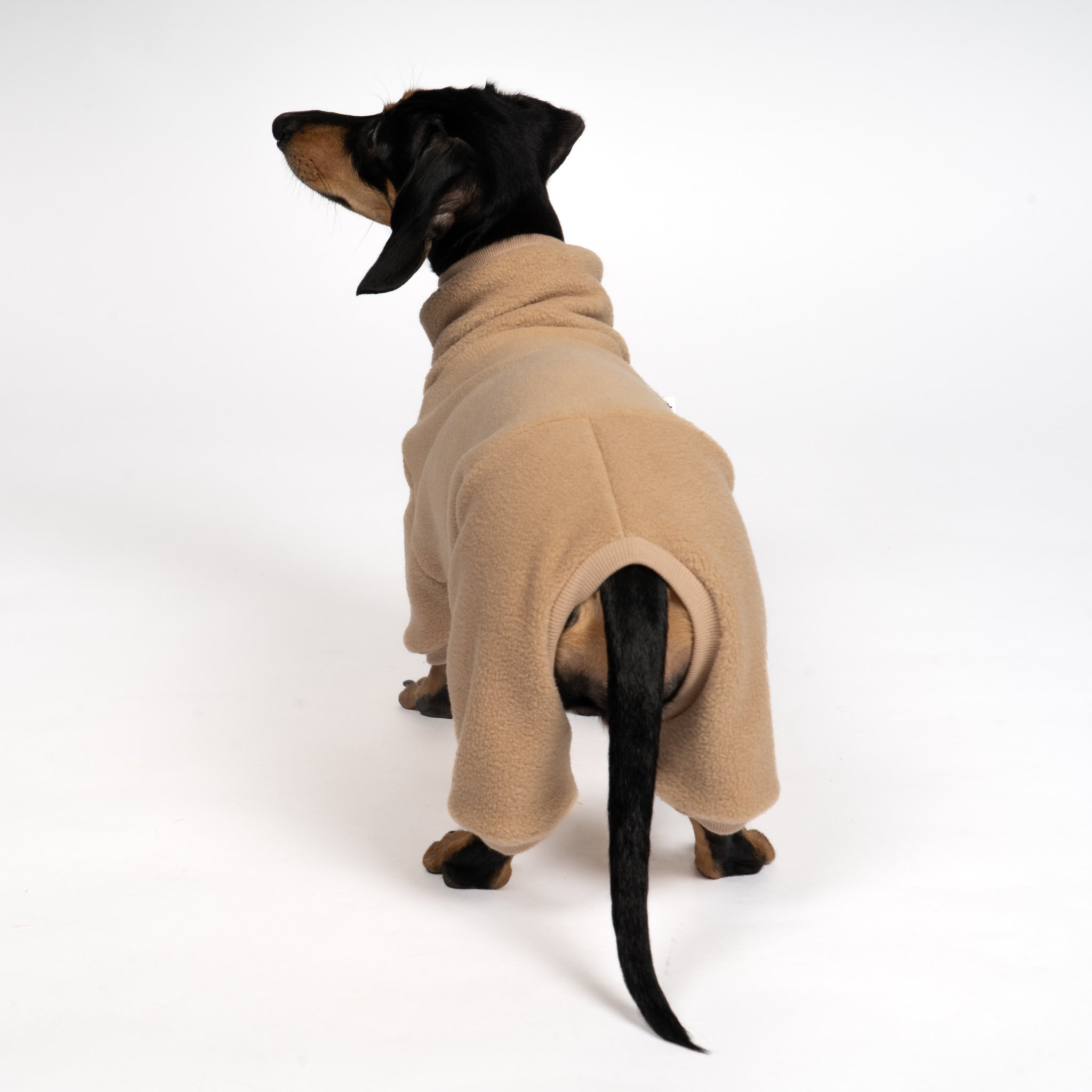 OVERALL Dackel Camel