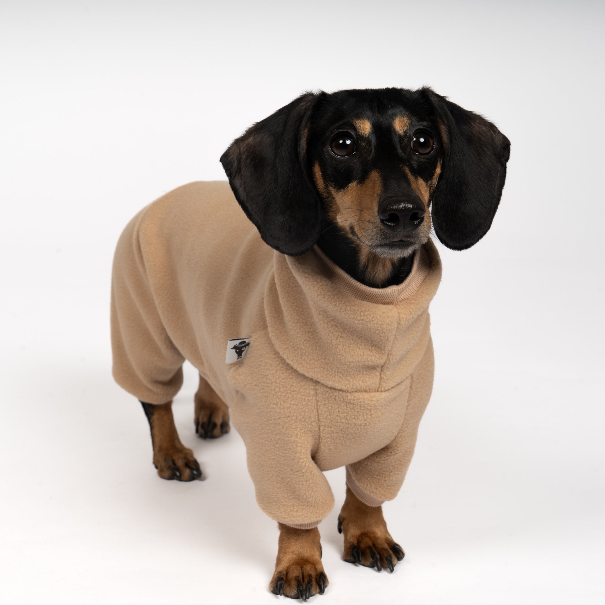 OVERALL Dackel Camel