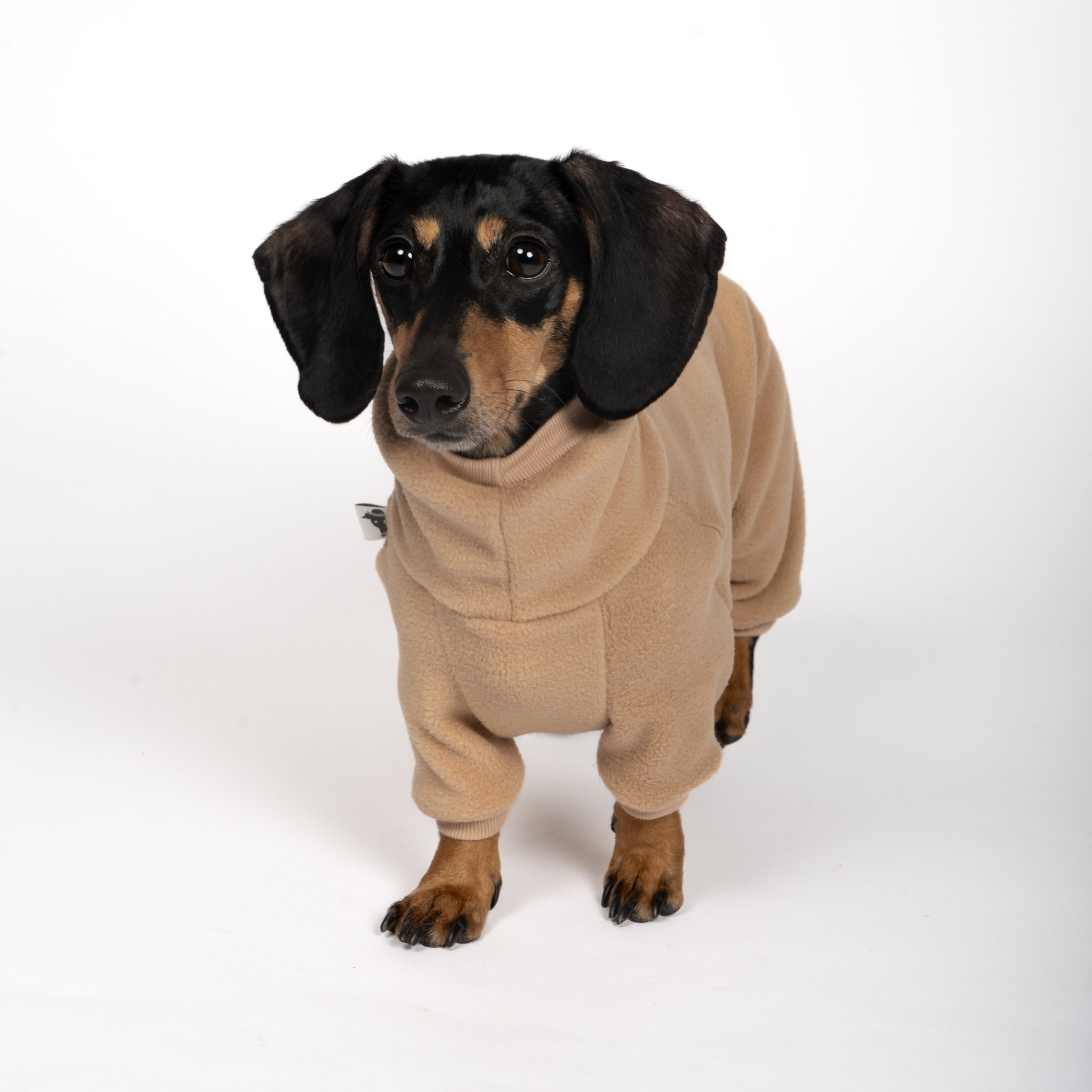 OVERALL Dackel Camel