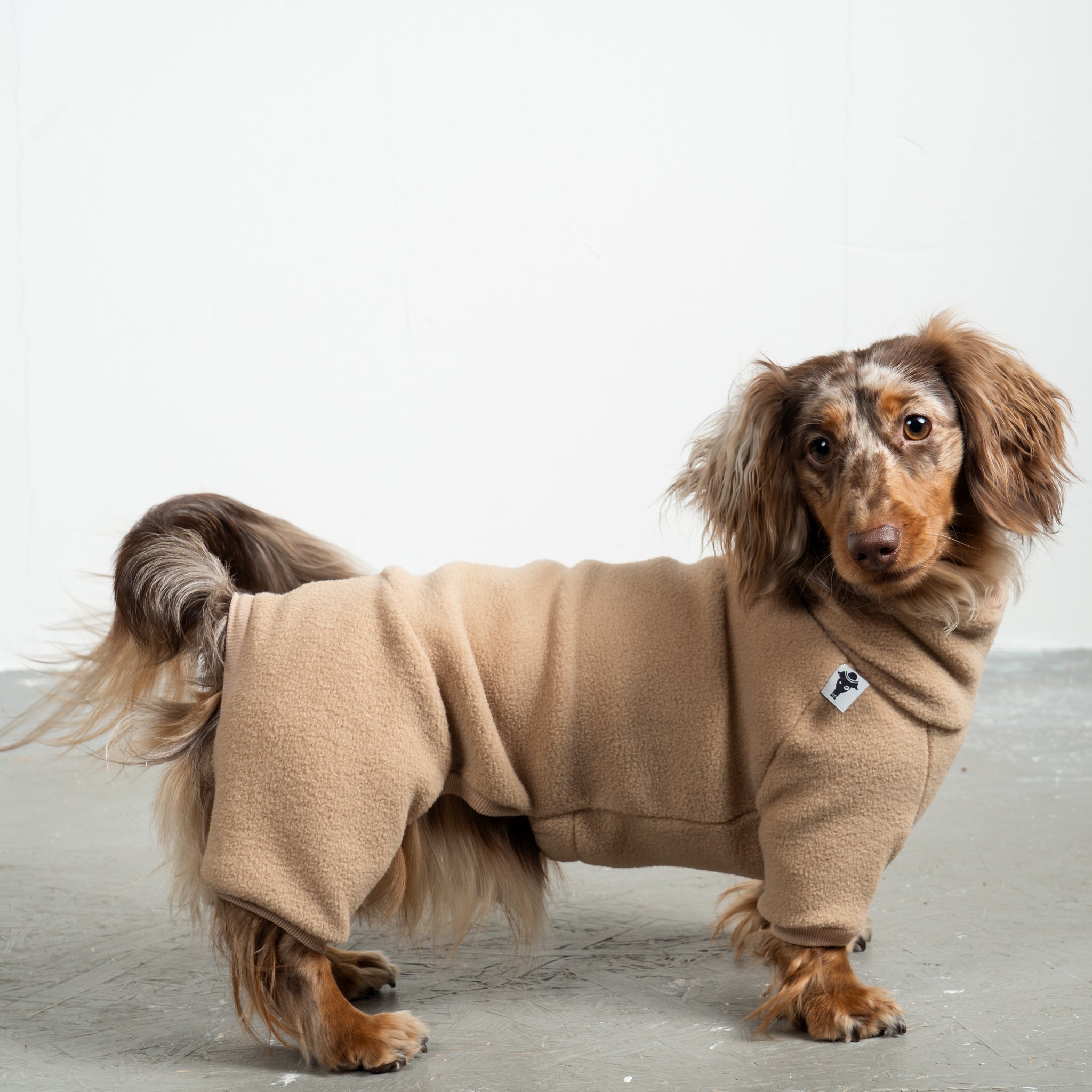 Overall Dackel Camel – Hundepullover und Hundekleidung für Dackel und Windhunde – Seitenansicht am Hund