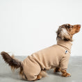 Bild in Galerie-Betrachter laden, Overall Dackel Camel – optimale Passform für Windhunde, Whippets und Dackel
