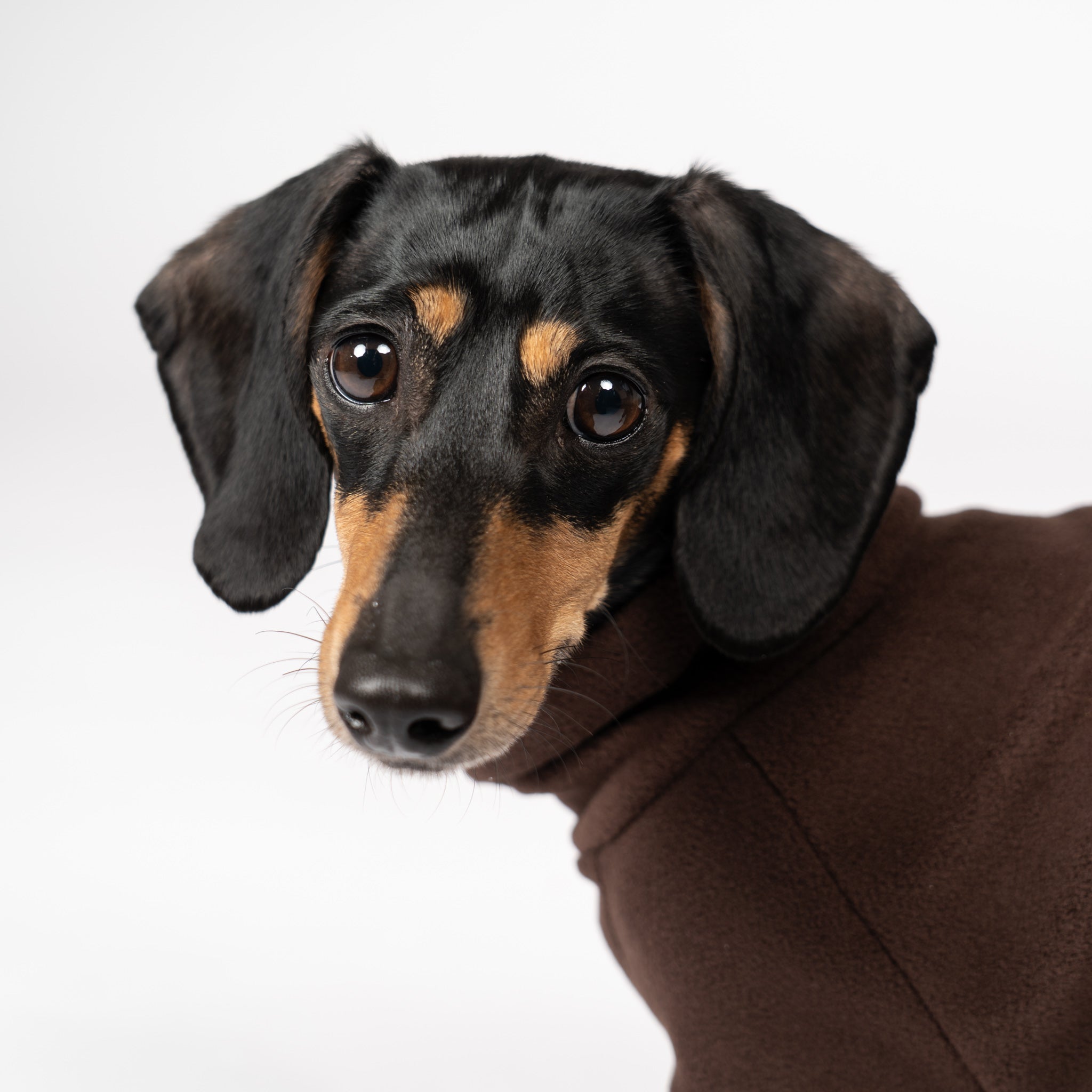 OVERALL Dackel Espresso