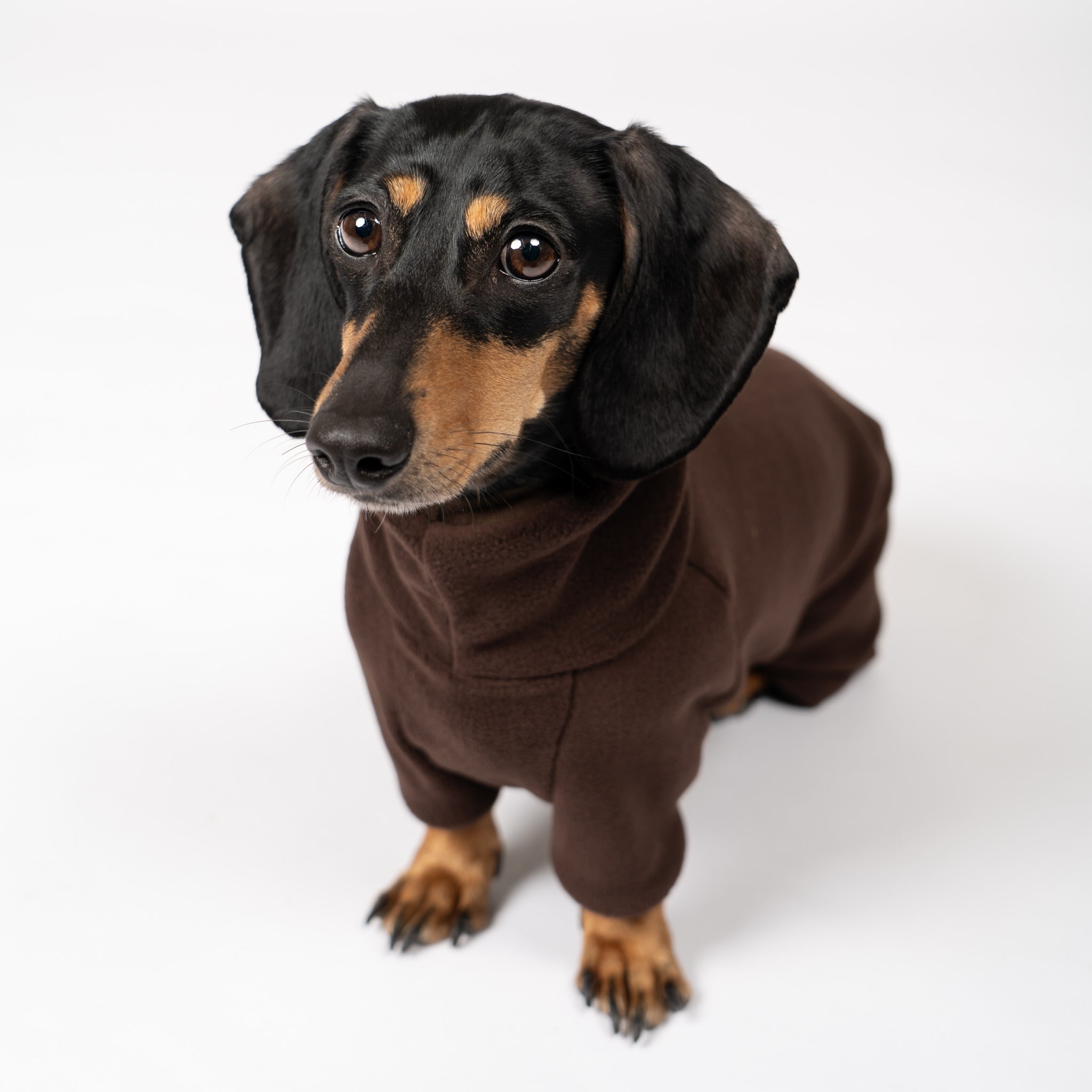 OVERALL Dackel Espresso