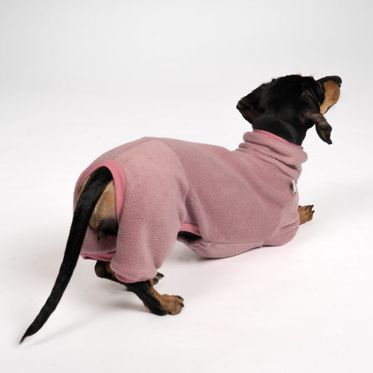 Overall Dackel Mulberry – Hundekleidung für Dackel, Windspiele und Whippets – Rückenansicht