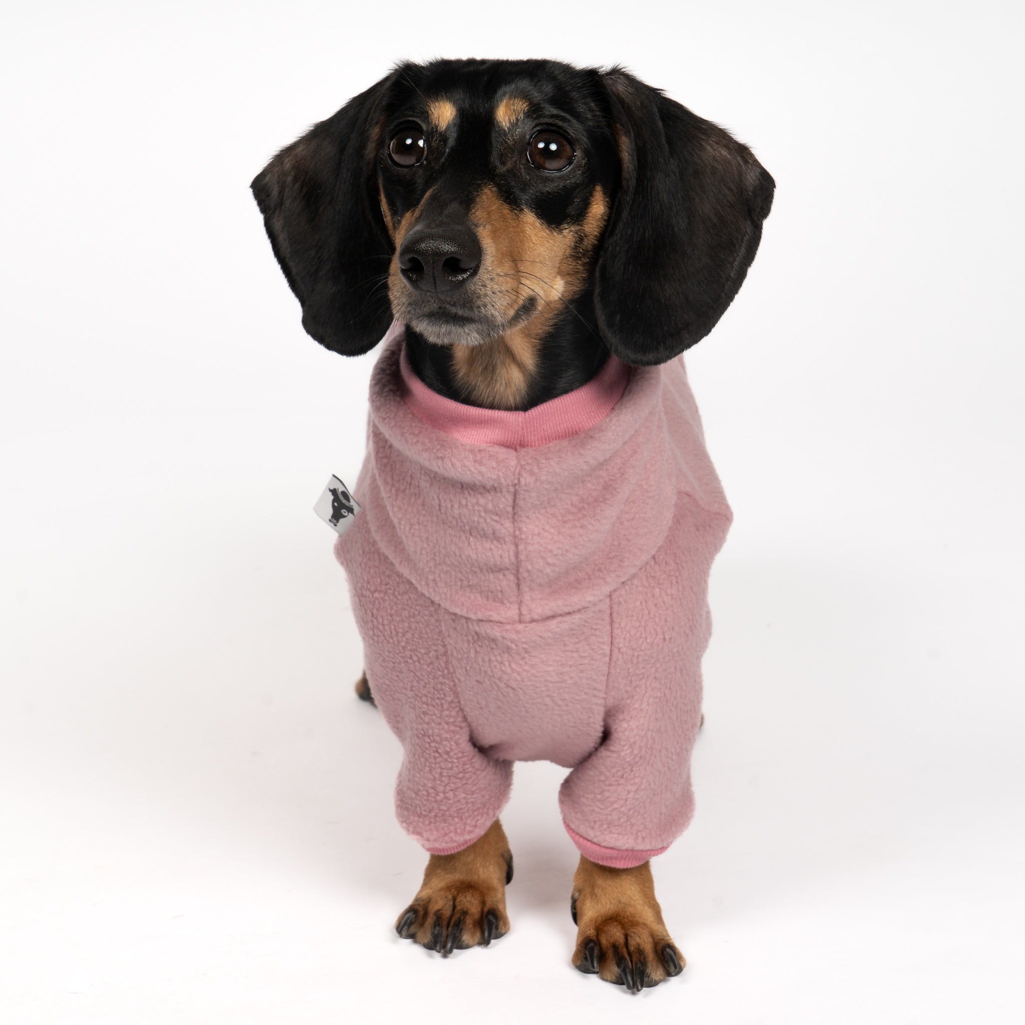 OVERALL Dackel Mulberry