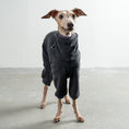 Bild in Galerie-Betrachter laden, Overall Iggy Anthrazit – hochwertige Hundekleidung für Dackel, Windspiele und Windhunde von Karma Hund Berlin – Ganzkörperansicht am Hund
