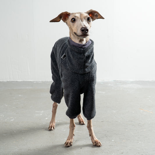 Overall Iggy Anthrazit – hochwertige Hundekleidung für Dackel, Windspiele und Windhunde von Karma Hund Berlin – Ganzkörperansicht am Hund