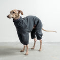 Bild in Galerie-Betrachter laden, Overall Iggy Anthrazit – ergonomischer Schnitt für Dackel und Windspiele – handgefertigte Hundekleidung
