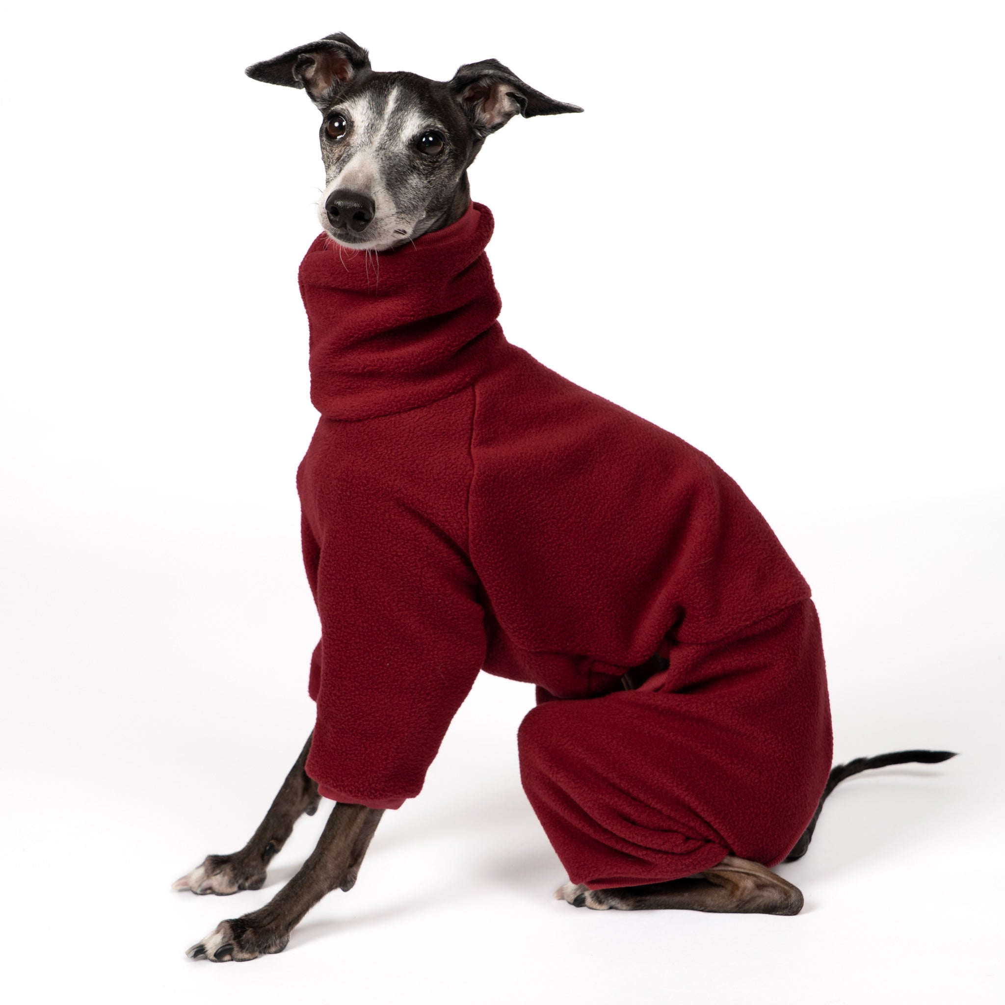 Overall Iggy Bordeaux – optimale Passform für Windhunde, Windspiele und Dackel