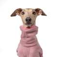 Bild in Galerie-Betrachter laden, Overall Iggy Mulberry – Close-up am Hund – hochwertige Hundekleidung von Karma Hund

