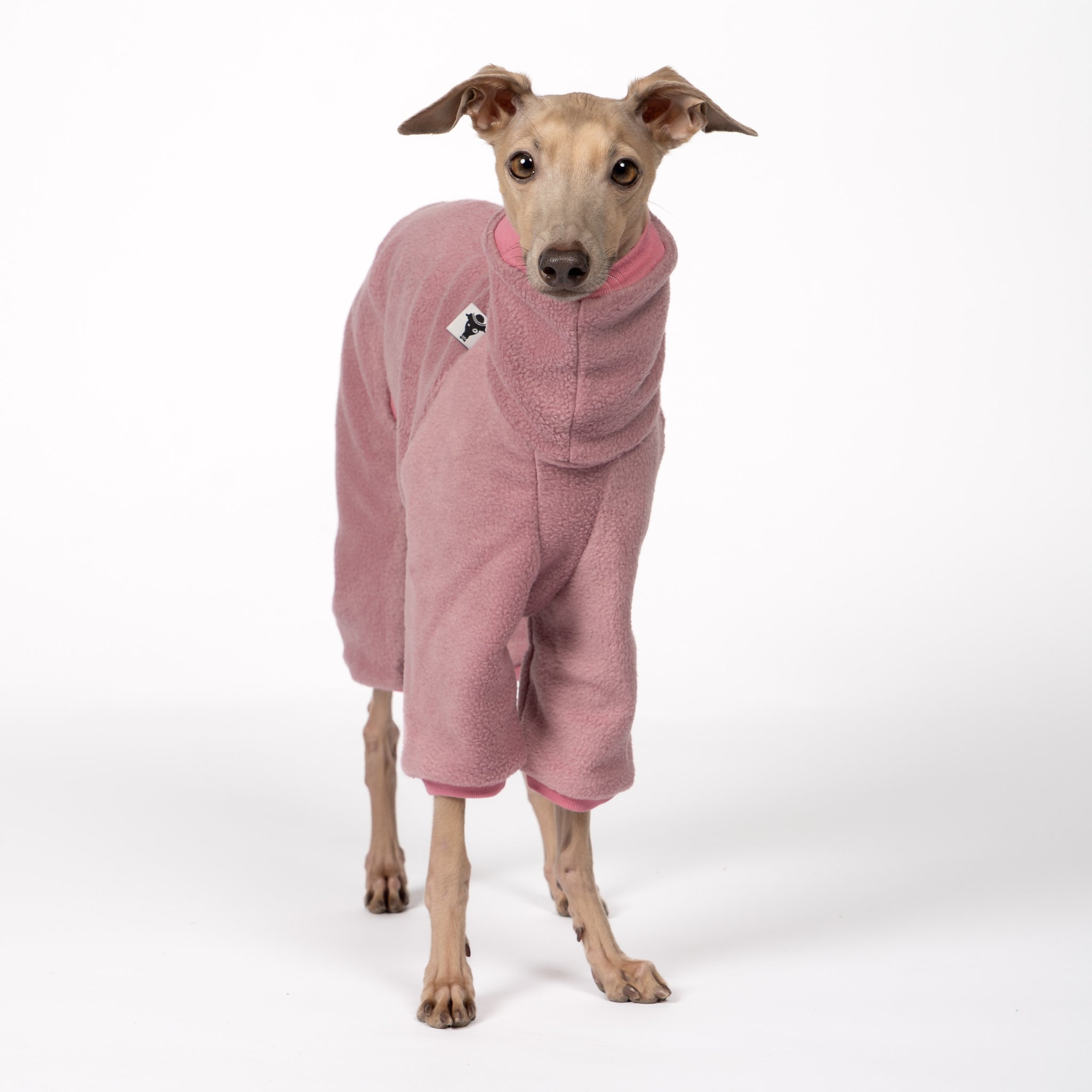 Overall Iggy Mulberry – ergonomischer Schnitt für Dackel und Windspiele – handgefertigte Hundekleidung