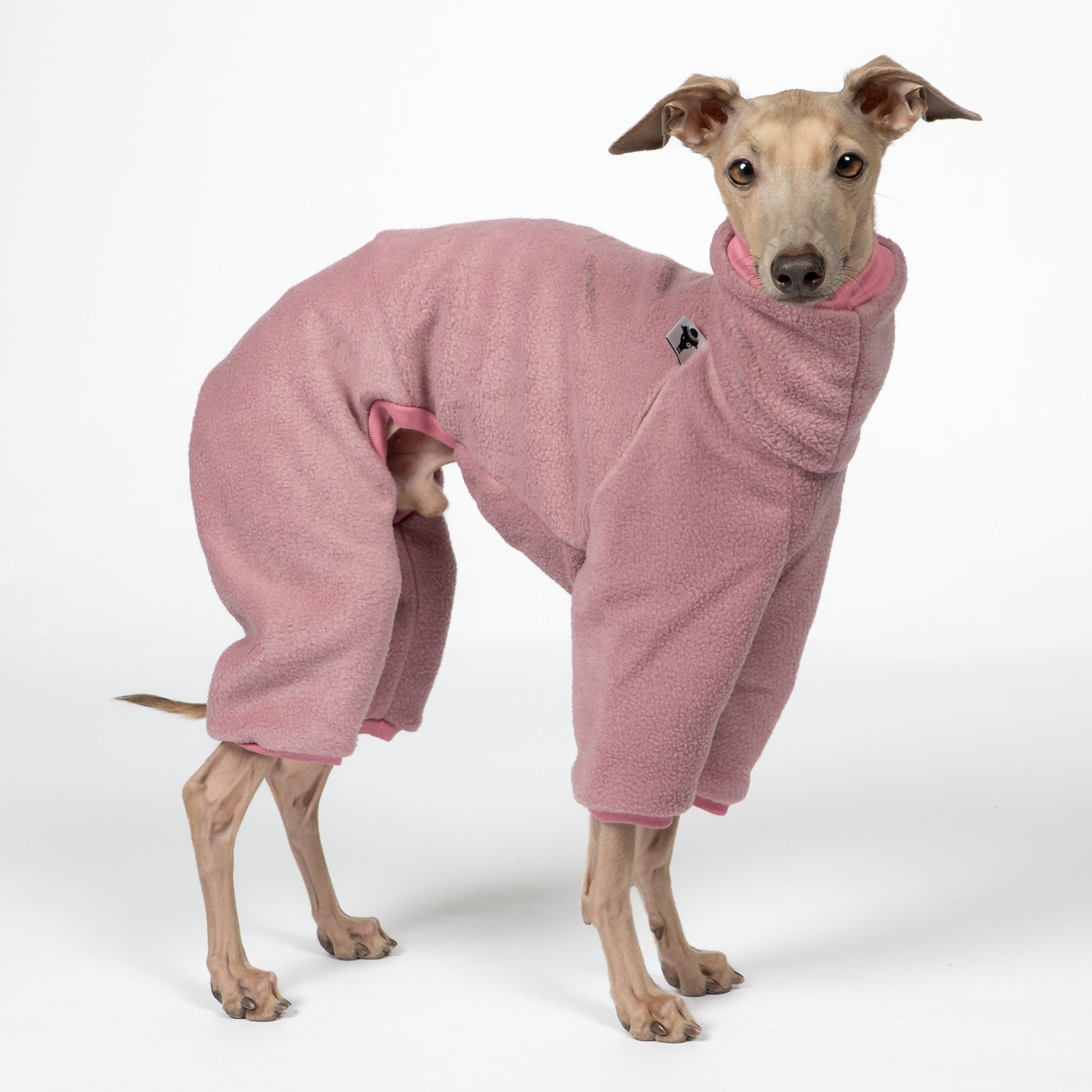 Overall Iggy Mulberry – hochwertige Hundekleidung für Dackel, Windspiele und Windhunde von Karma Hund Berlin – Ganzkörperansicht am Hund