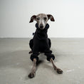 Bild in Galerie-Betrachter laden, Overall Iggy Schwarz – handgefertigte Hundekleidung aus der Berliner Manufaktur von Karma Hund
