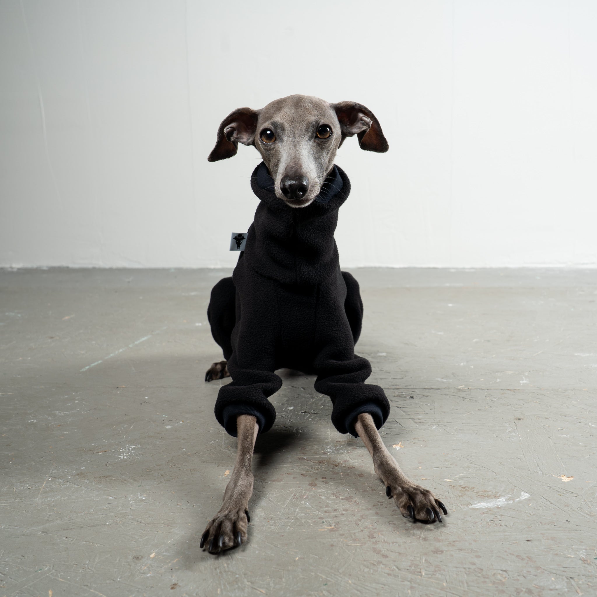 Overall Iggy Schwarz – handgefertigte Hundekleidung aus der Berliner Manufaktur von Karma Hund