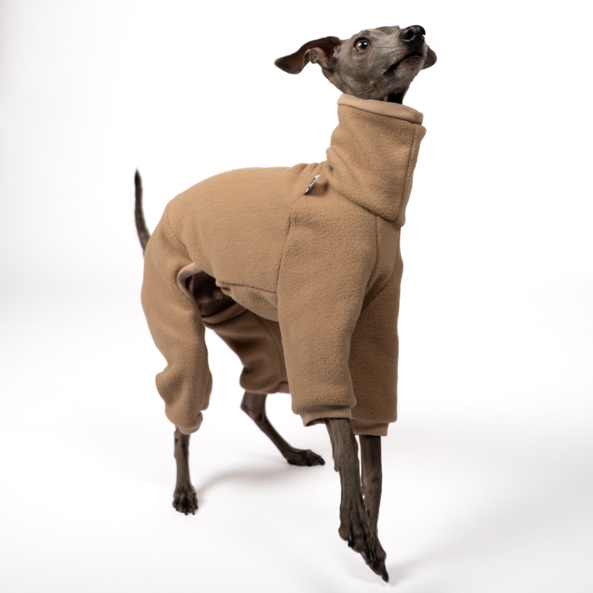 Overall Iggy Camel – Hund in Bewegung – bequeme Hundekleidung für Italienische Windspiele