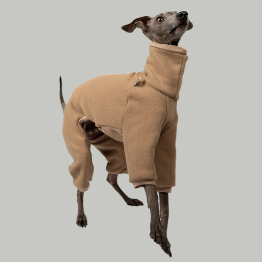 Overall Iggy Camel – Hund in Bewegung – bequeme Hundekleidung für Italienische Windspiele