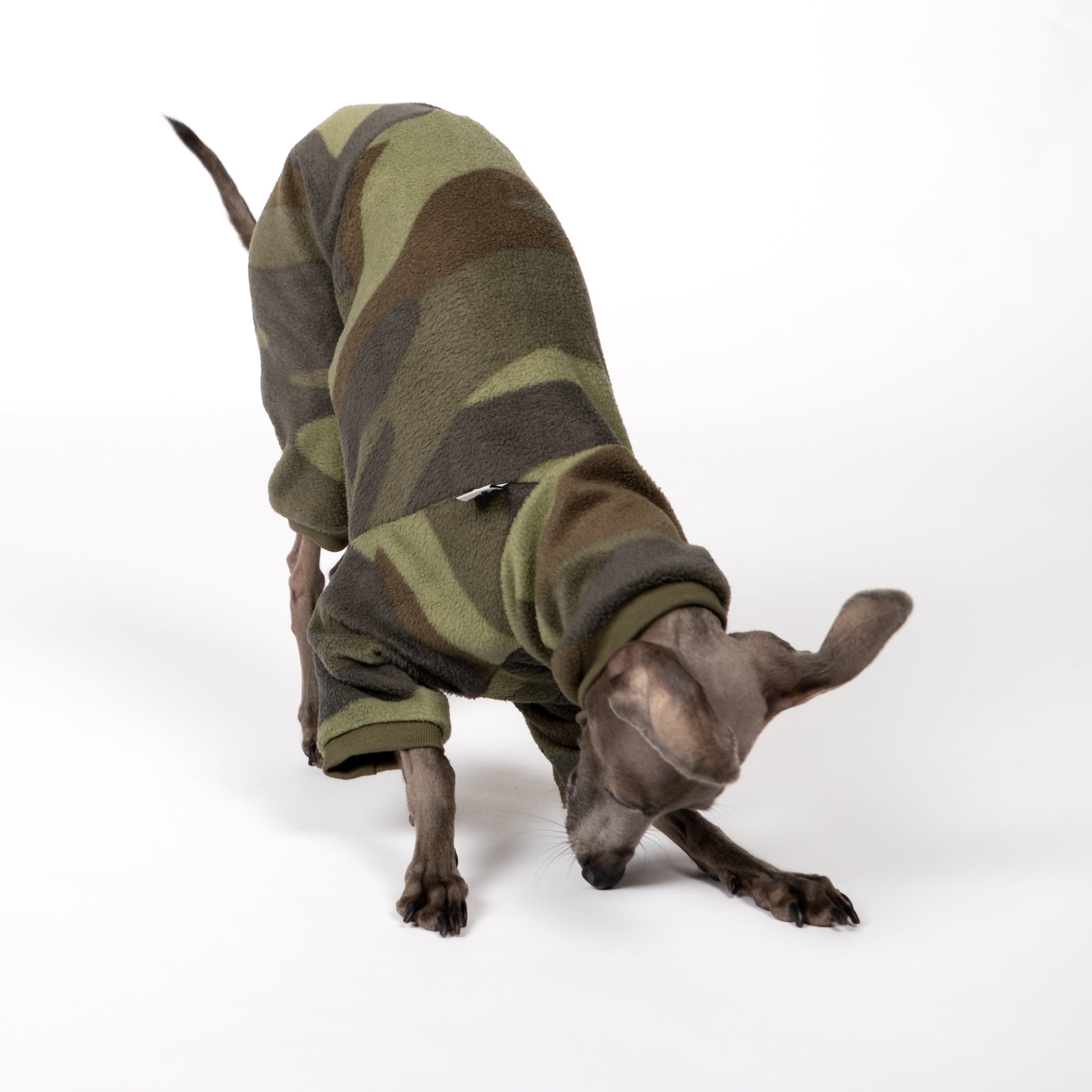 OVERALL Iggy Camouflage