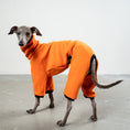 Bild in Galerie-Betrachter laden, Overall Iggy Orange – ergonomischer Schnitt für Dackel und Windspiele – handgefertigte Hundekleidung
