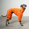 Bild in Galerie-Betrachter laden, Overall Iggy Orange – hochwertige Hundekleidung für Dackel, Windspiele und Windhunde von Karma Hund Berlin – Ganzkörperansicht am Hund
