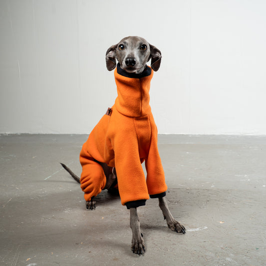 Overall Iggy Orange – Hundepullover und Hundekleidung für Dackel und Windspiele – Seitenansicht am Hund