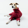 Bild in Galerie-Betrachter laden, OVERALL Windhund Bordeaux

