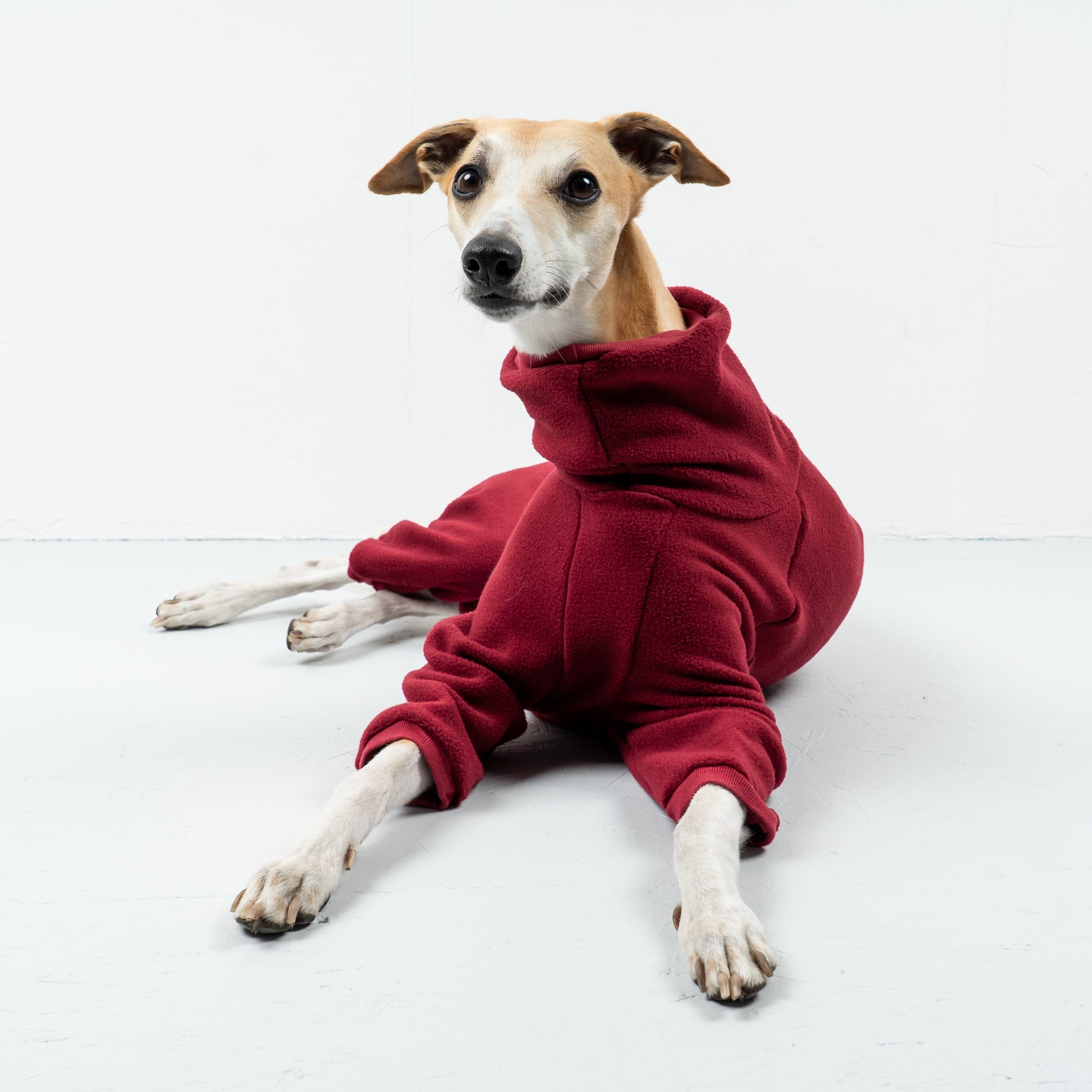 OVERALL Windhund Bordeaux