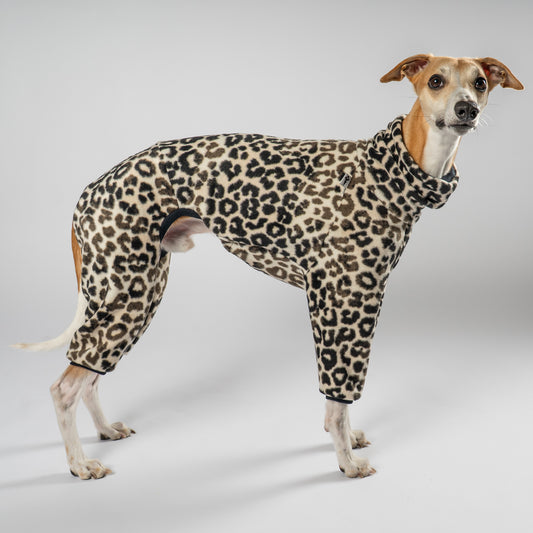 OVERALL Windhund Leo