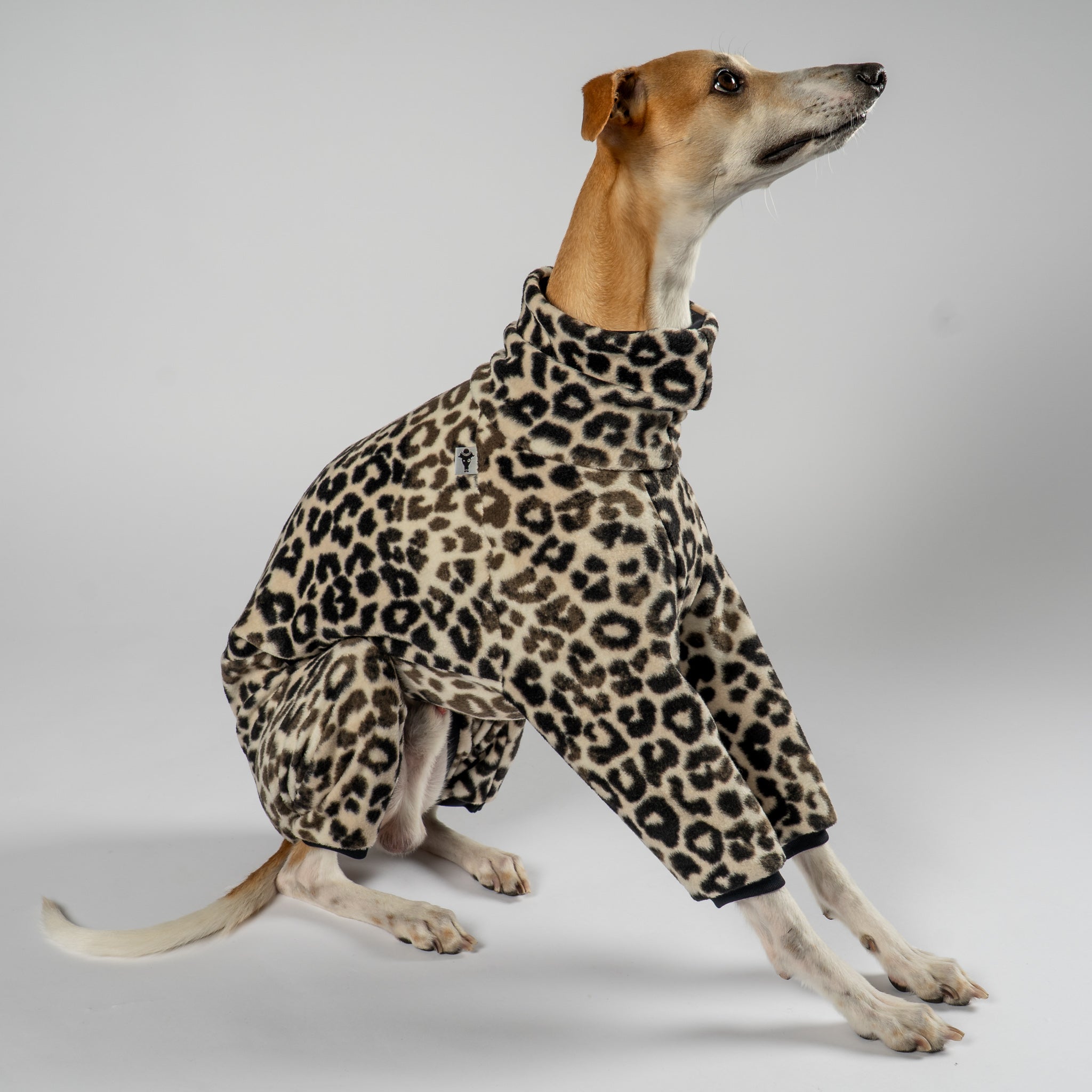 Overall Windhund Leo – Ganzkörperansicht – stilvolle Hundekleidung für Dackel und Windhunde