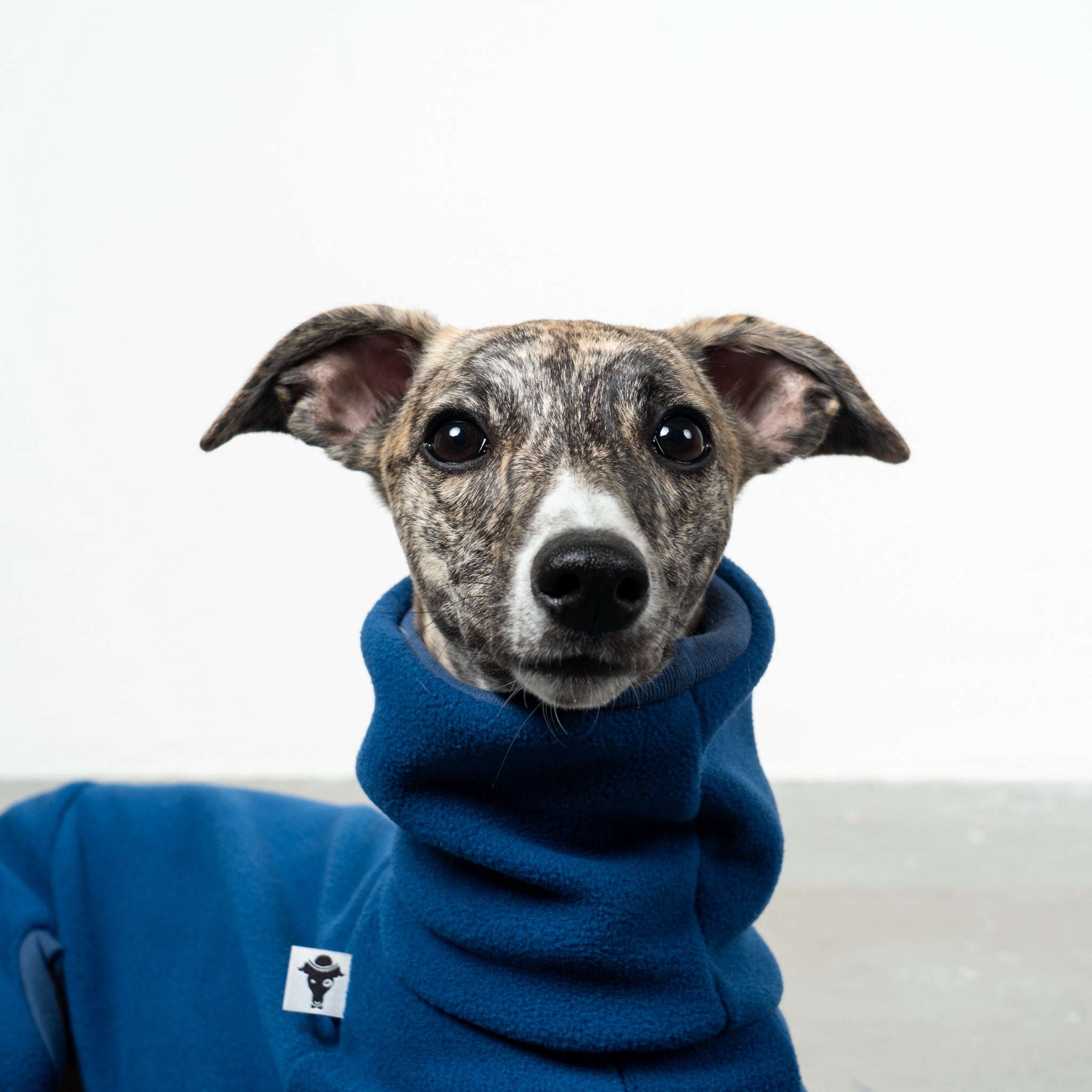 OVERALL Windhund Navy