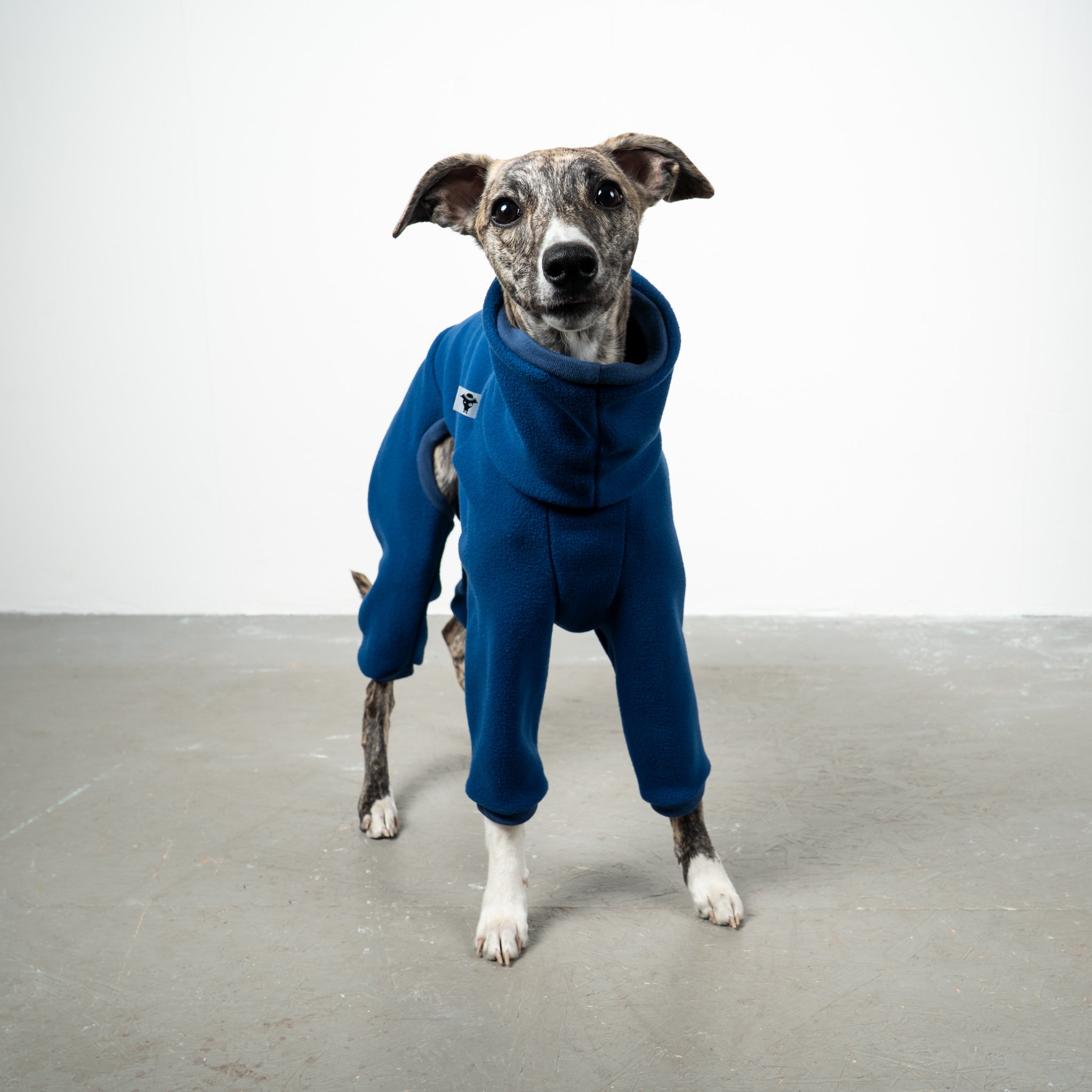 OVERALL Windhund Navy