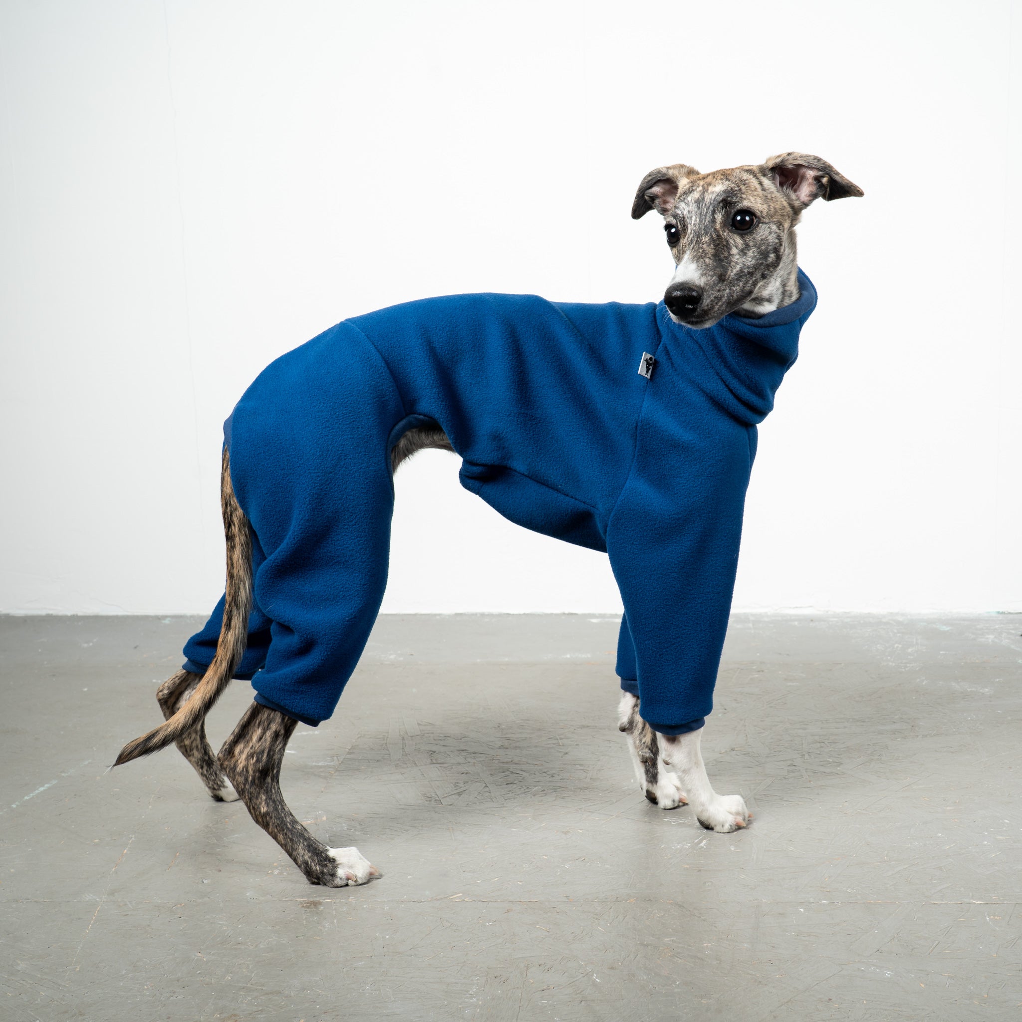 OVERALL Windhund Navy