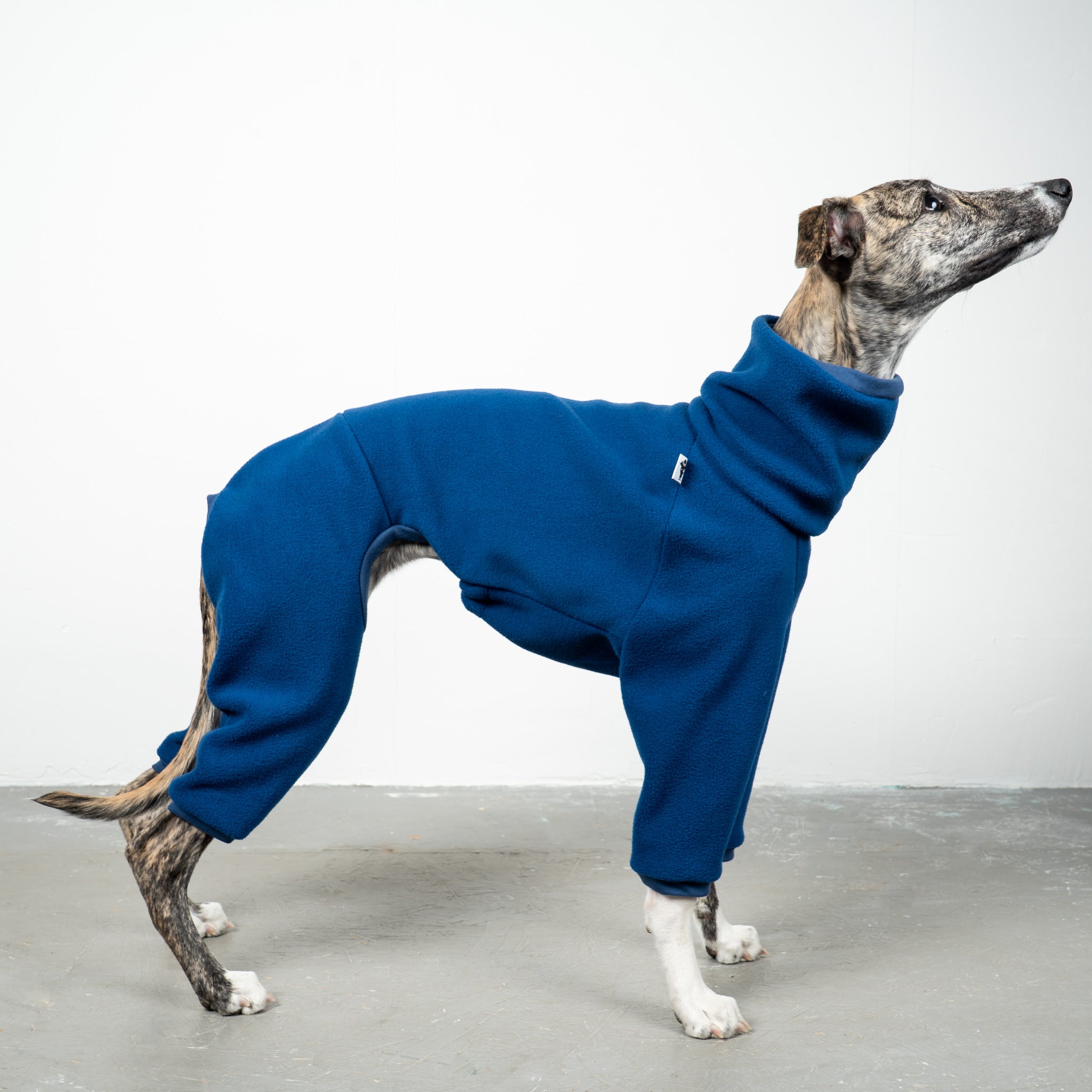 OVERALL Windhund Navy