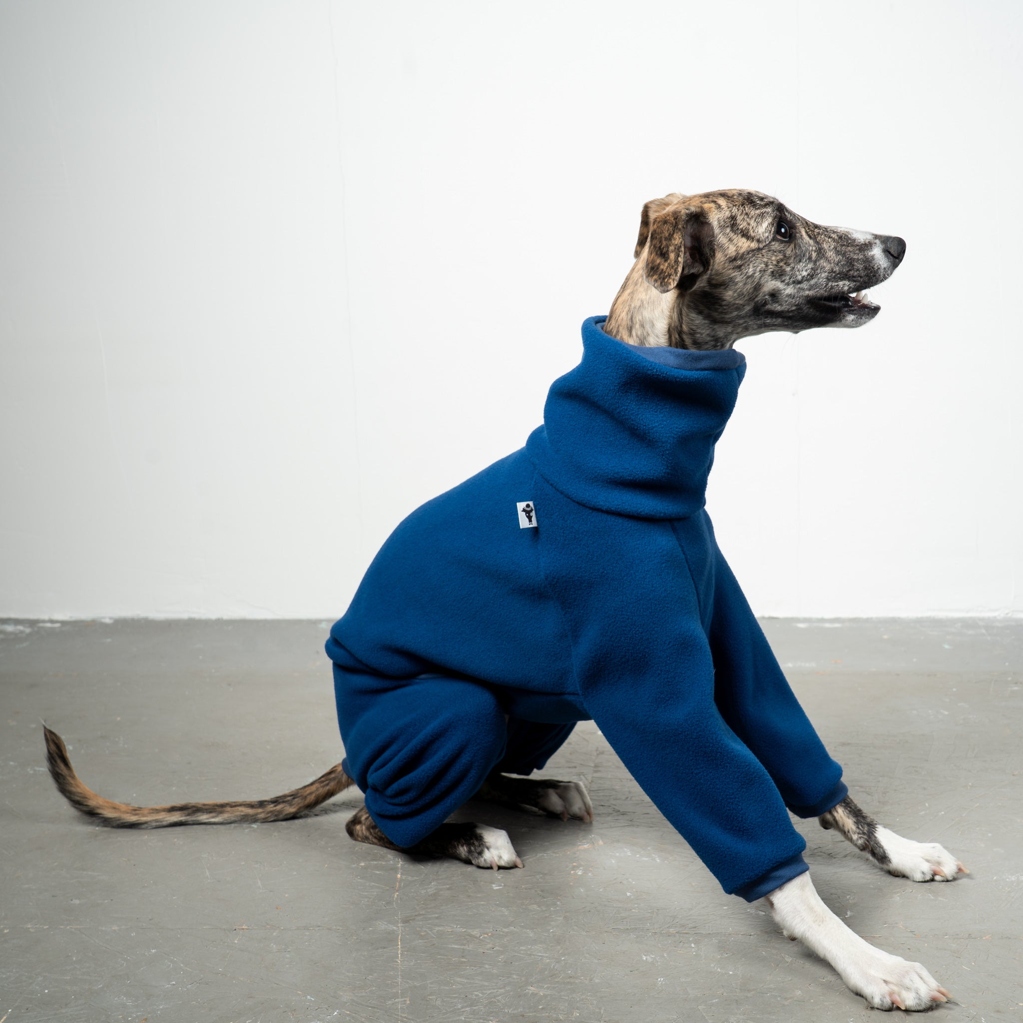 OVERALL Windhund Navy