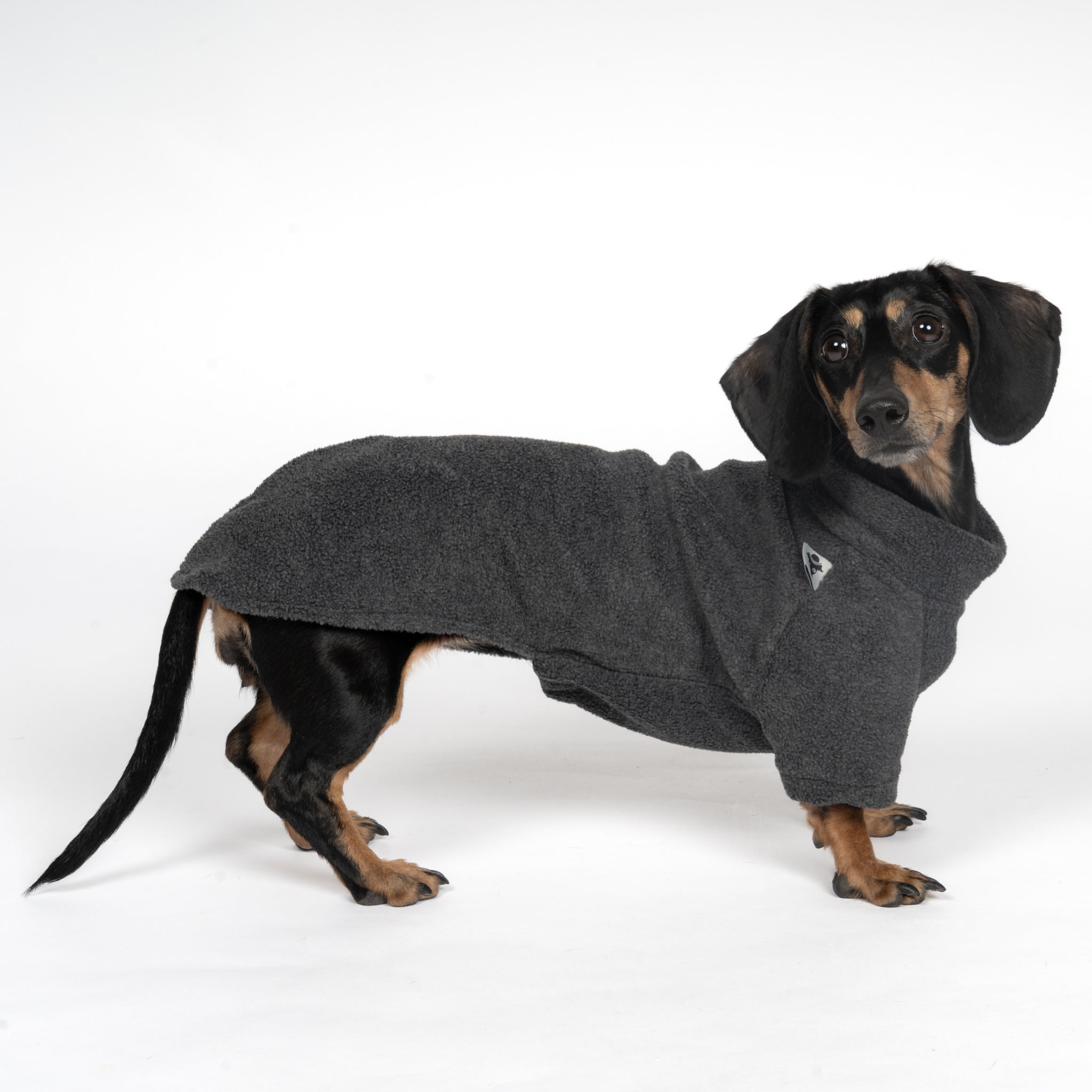 PULLOVER Dackel Anthrazit